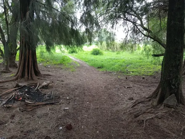 Terreno en venta en Llano de los Báez, Ecatepec de Morelos — foto 3 de 7