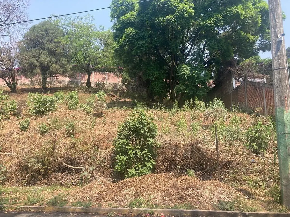 TERRENO EN RANCHO CORTES TERRENO EN RANCHO CORTES