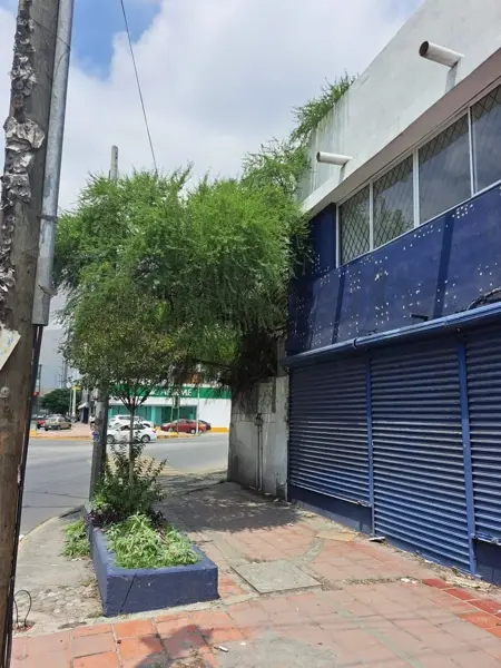 Local en Renta Centro de Monterrey