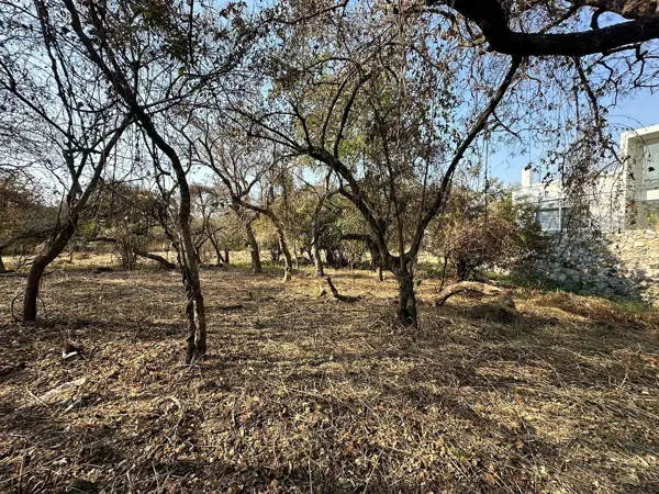 Terreno en venta en Lomas de Jiutepec, Jiutepec — foto 3 de 6