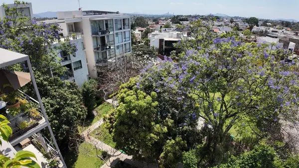Departamento en venta en Chapultepec, Cuernavaca — foto 2 de 32