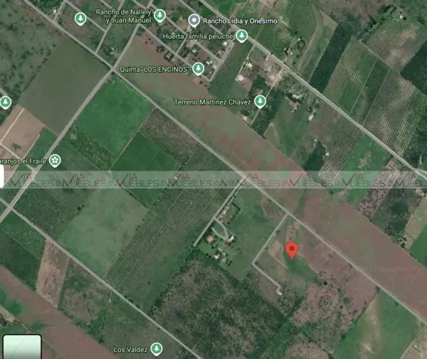 Terreno en venta en El Fraile, Montemorelos — foto 3 de 14