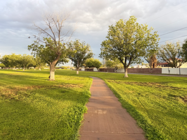Terreno en venta en Las Trojes, Torreón — foto 2 de 20