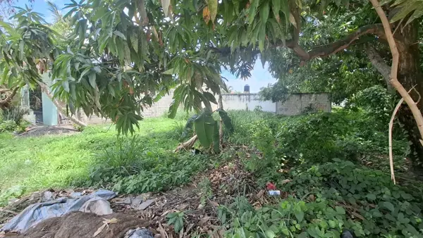 Terreno en venta en San Jose del Valle, Bahía de Banderas — foto 2 de 9