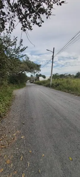 Terreno en venta en Paso Colorado, Boca del Río — foto 3 de 4