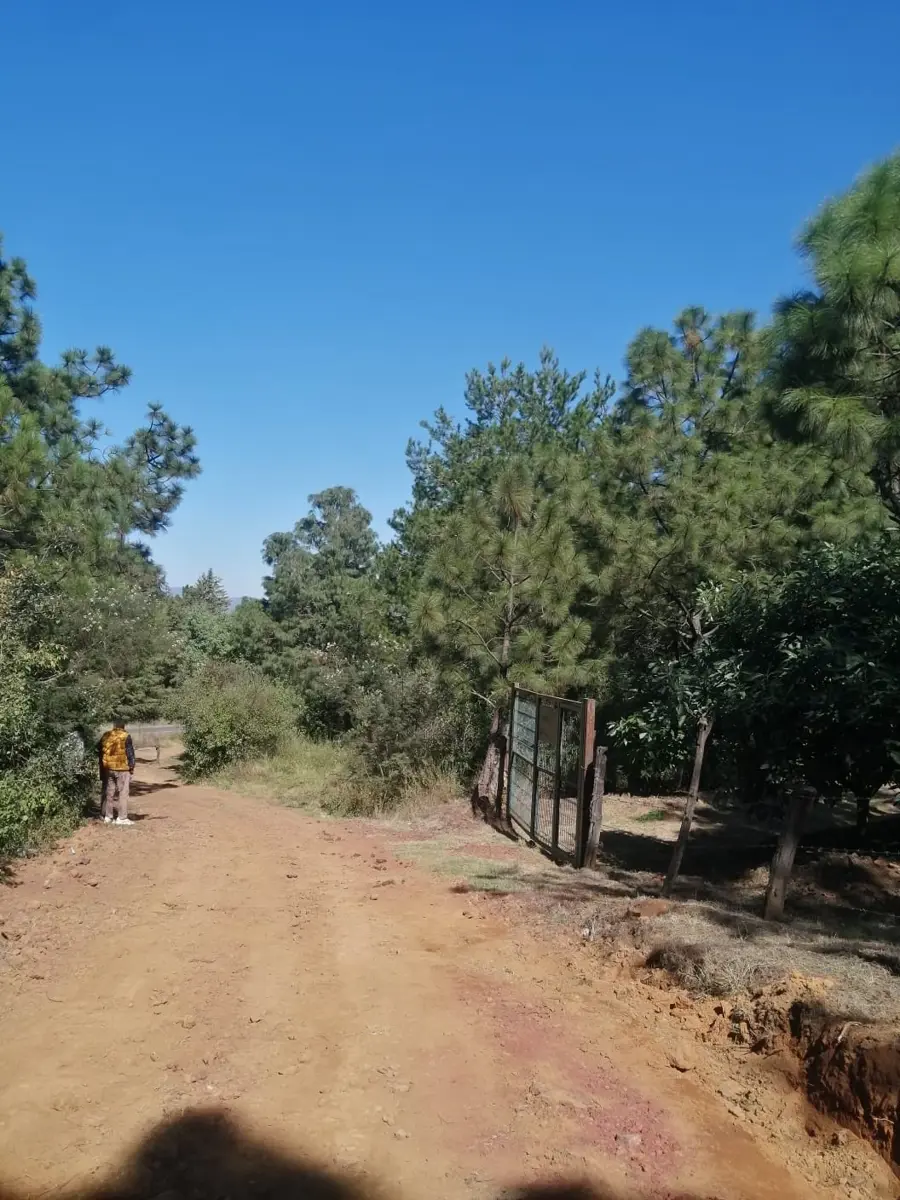 Terreno en venta en San Miguel Nocutzepo, Erongarícuaro — foto 1 de 4