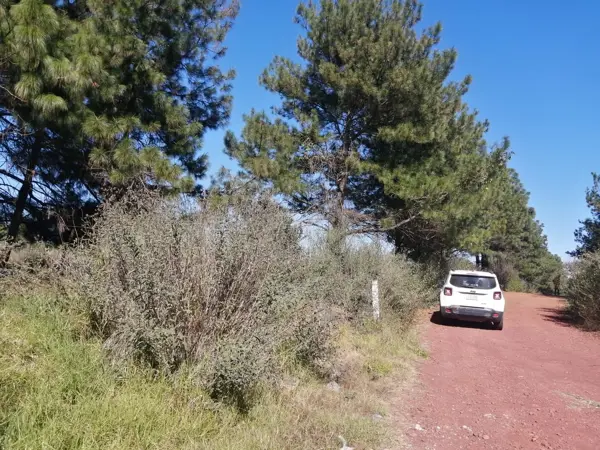 Terreno en venta en San Miguel Nocutzepo, Erongarícuaro — foto 3 de 4