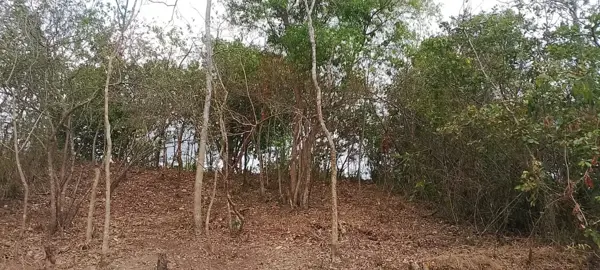Terreno en venta en El Tuito, Cabo Corrientes — foto 3 de 6