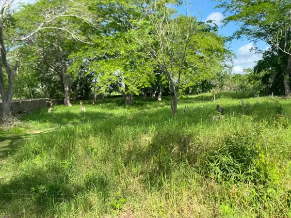 Finca-Rancho en venta en Tekit, Tekit — foto 3 de 13