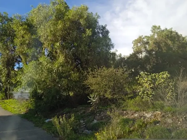 Terreno en venta en Río de la Soledad, Mineral de la Reforma — foto 2 de 8