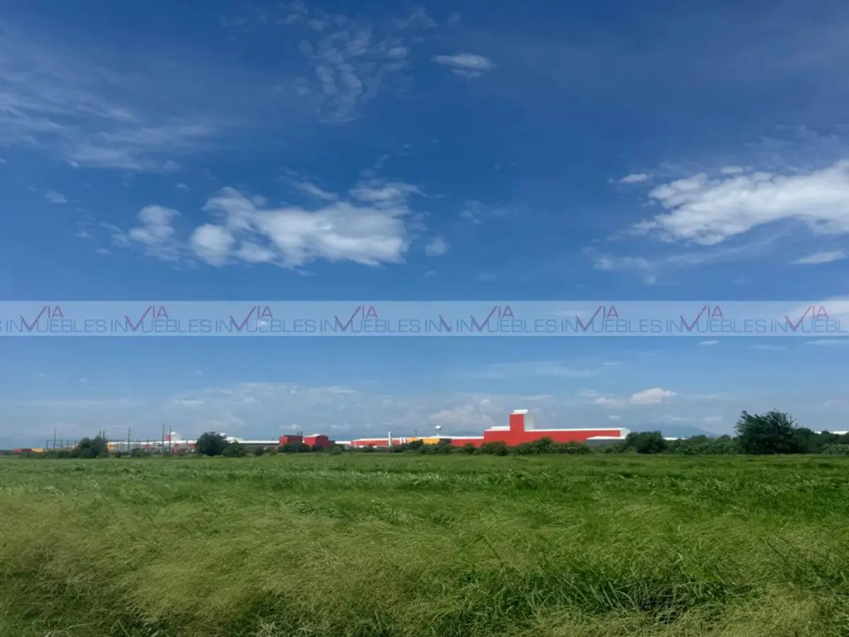 Terreno en renta en La Victoria, Pesquería — foto 1 de 12