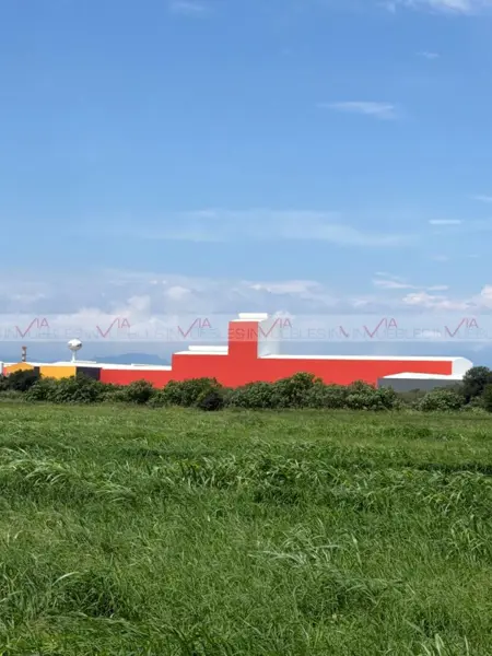 Terreno en renta en La Victoria, Pesquería — foto 3 de 12