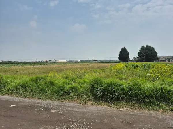 Terreno en venta en Del Campesino, Chapultepec — foto 3 de 4