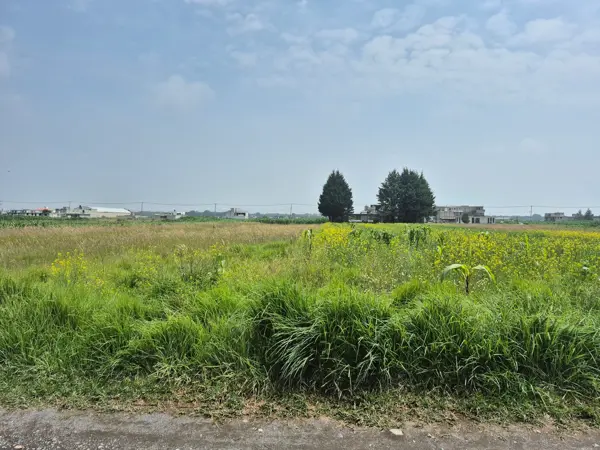Terreno en venta en Del Campesino, Chapultepec — foto 2 de 4