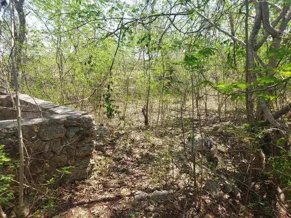Terreno en venta en Motul de Carrillo Puerto Centro, Motul — foto 2 de 10