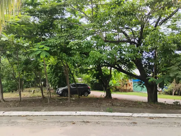 Terreno en venta en Buenavista, Veracruz — foto 2 de 12