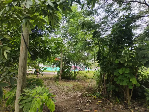 Terreno en venta en Buenavista, Veracruz — foto 3 de 12