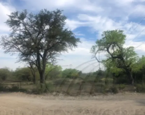 Terreno en venta en Centro de Pesquería, Pesquería — foto 2 de 3