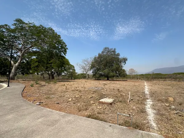 Terreno en venta en Nogueras, Comala — foto 2 de 5