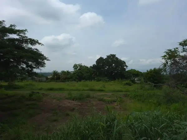 Terreno en venta en Lomas de Comala, Comala — foto 3 de 4