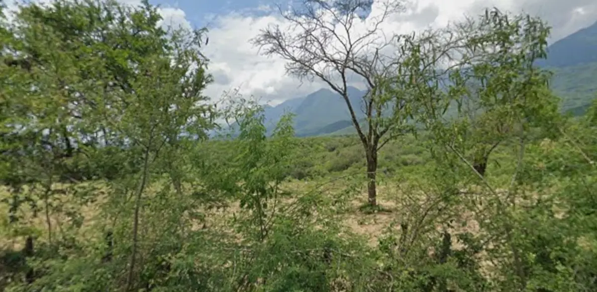 Terreno en venta en El Barrial, Santiago — foto 1 de 3