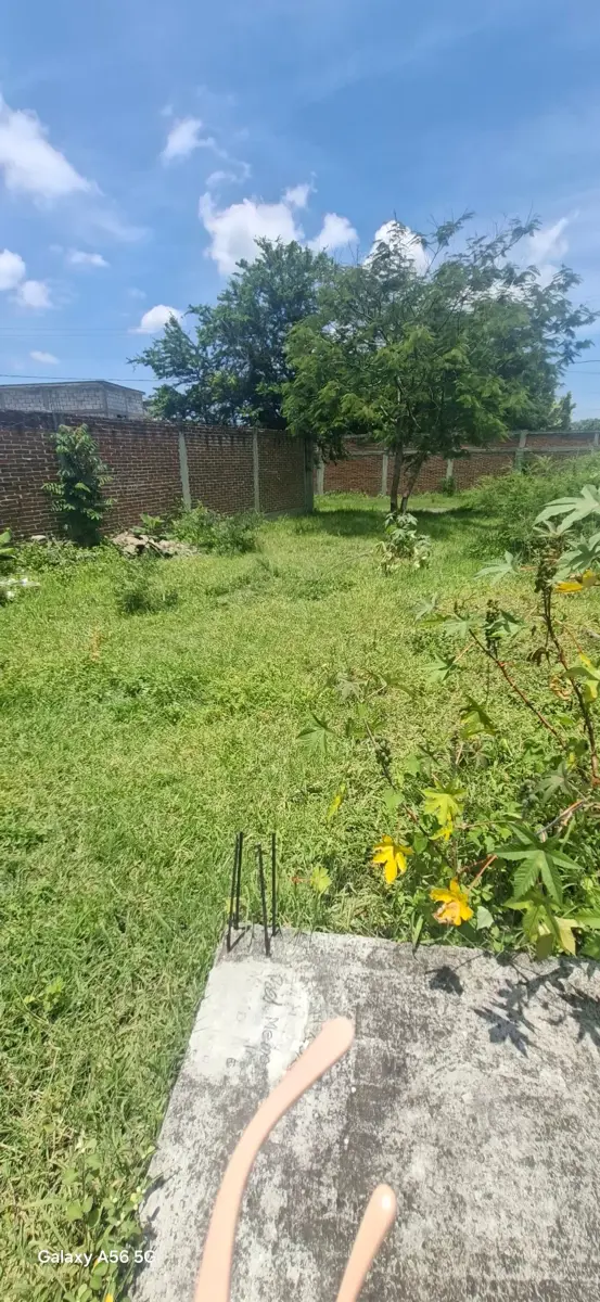 Terreno en venta en Empleado Municipal, Cuautla — foto 1 de 9