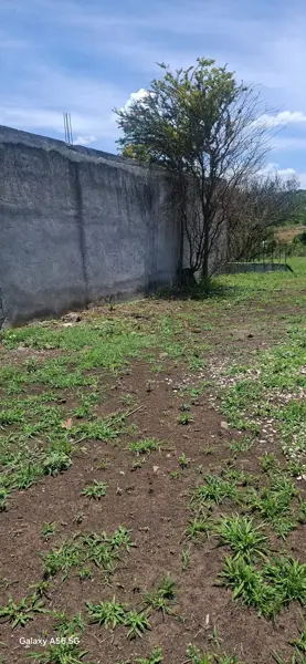 Terreno en venta en Empleado Municipal, Cuautla — foto 3 de 9