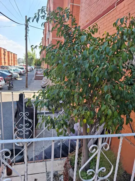 Departamento en venta en Lomas de Becerra, Álvaro Obregón — foto 3 de 27