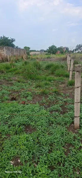 Terreno en venta en Tierra Larga, Cuautla — foto 2 de 6