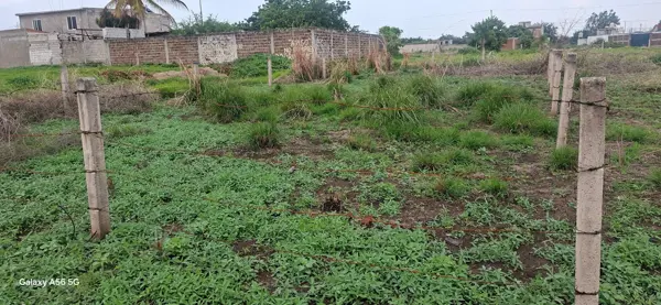 Terreno en venta en Tierra Larga, Cuautla — foto 3 de 6