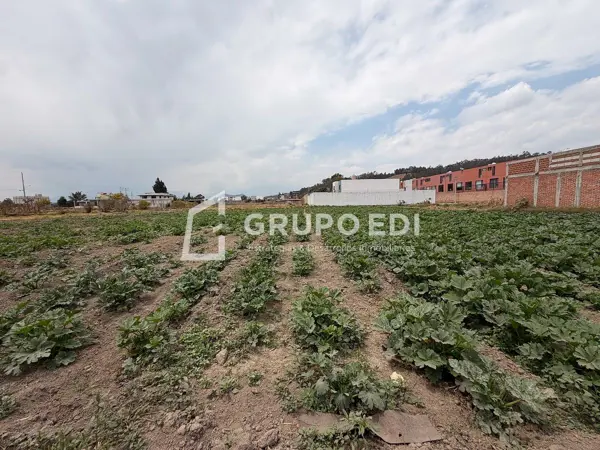 Terreno en venta en Zerezotla, San Pedro Cholula — foto 3 de 5