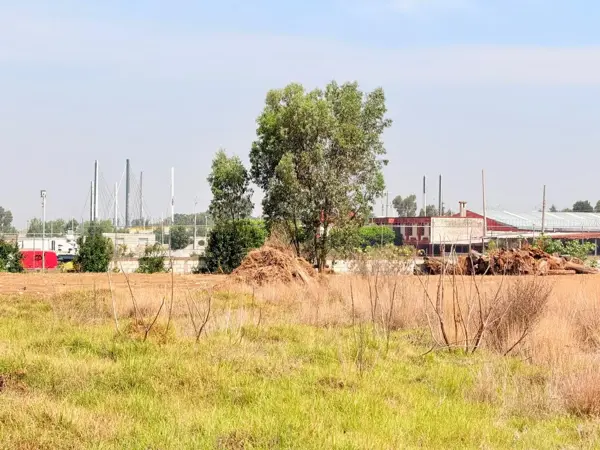 Terreno en renta en Parque Industrial Chachapa, Amozoc — foto 3 de 17