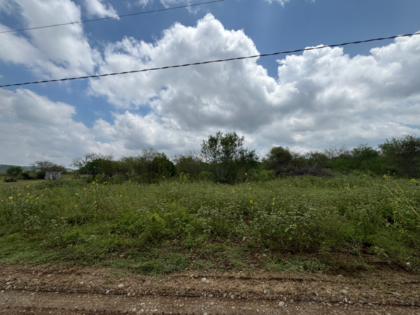 Terreno en venta en Padre Mier, Montemorelos — foto 2 de 2