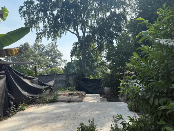 Terreno en venta en Suchitlan, Comala — foto 3 de 6