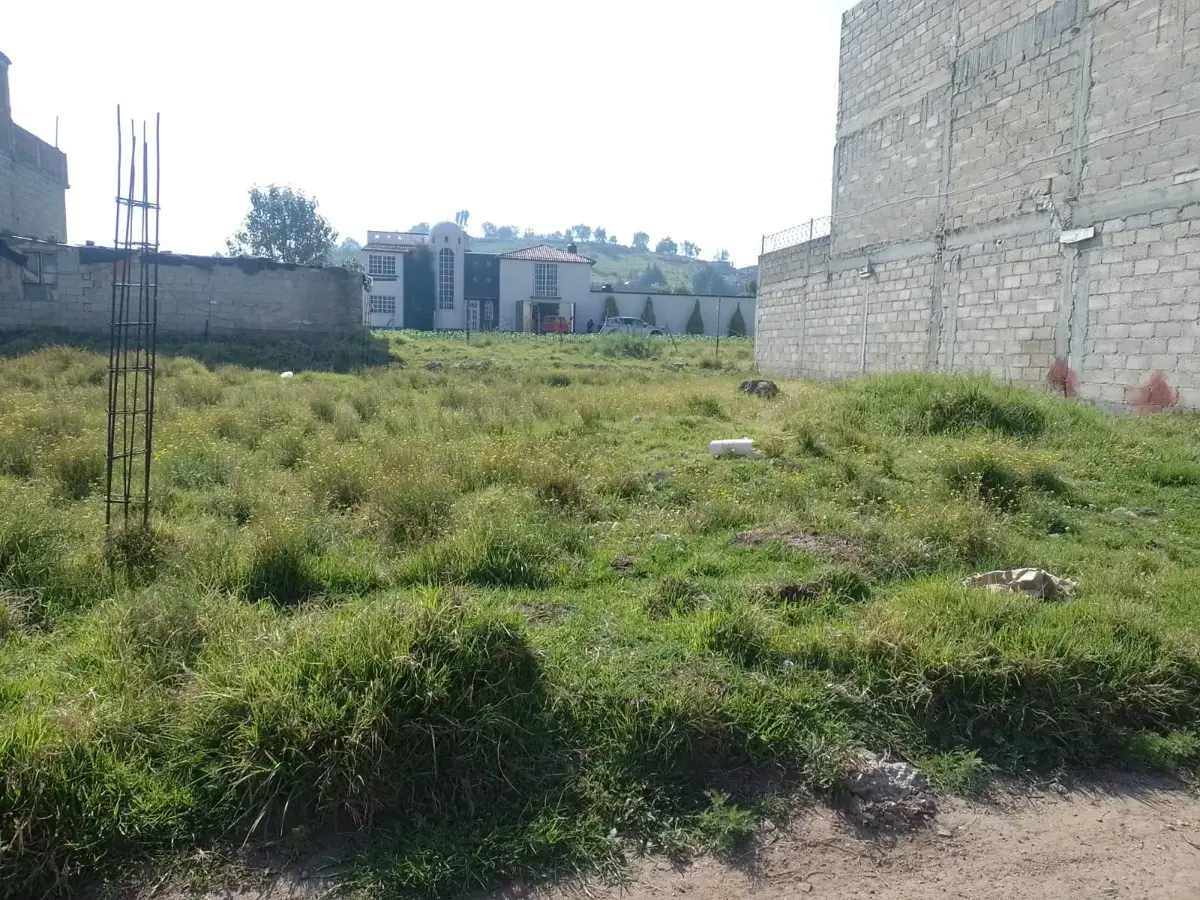 Terreno en venta en San Francisco Tlalcilalcalpan, Almoloya de Juárez — foto 1 de 4