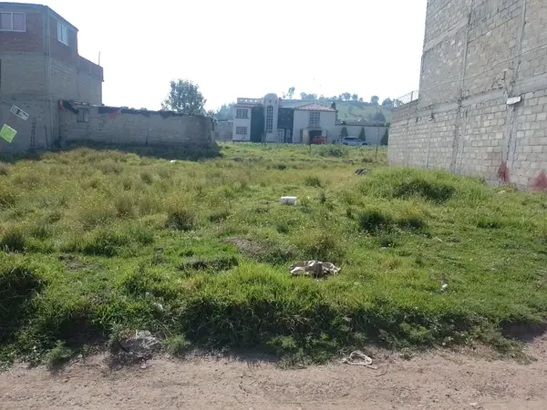 Terreno en venta en San Francisco Tlalcilalcalpan, Almoloya de Juárez — foto 2 de 4