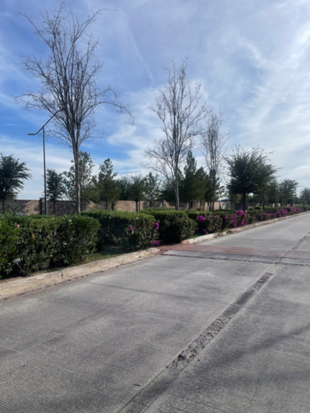 Terreno en venta en Altozano la Nueva Laguna, Gómez Palacio — foto 2 de 7