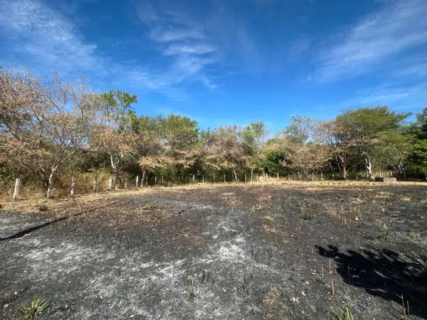 Terreno en venta en El Remate, Comala — foto 3 de 3