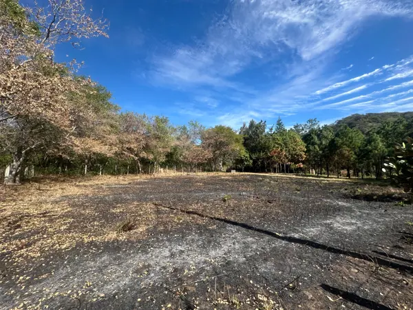 Terreno en venta en El Remate, Comala — foto 2 de 3