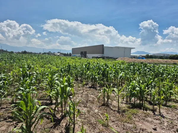 Terreno en venta en San Blas Otzacatipan, Toluca — foto 3 de 3