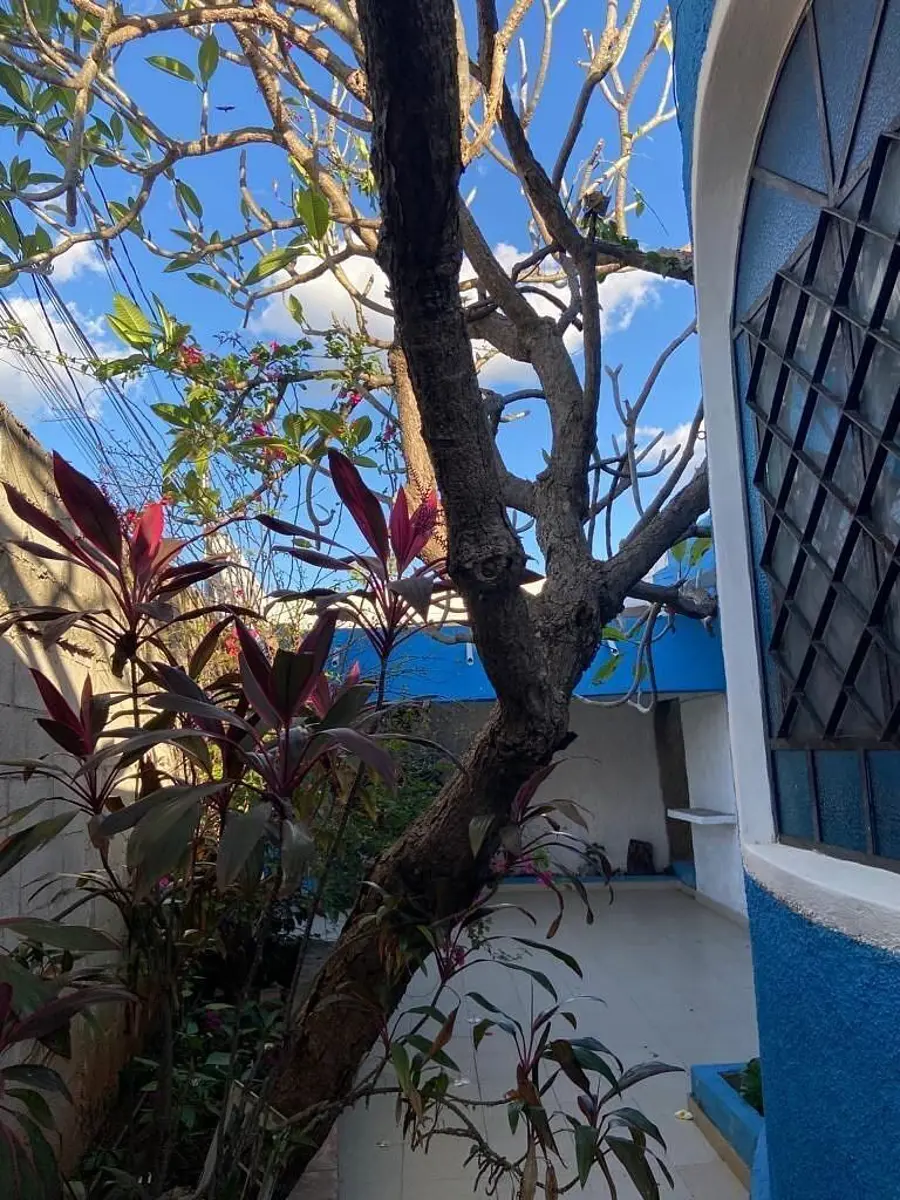 Casa en venta en Merida Centro, Mérida — foto 1 de 40