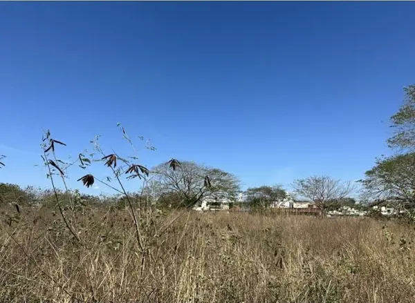 Terreno en venta en Mexico Oriente, Mérida — foto 3 de 6