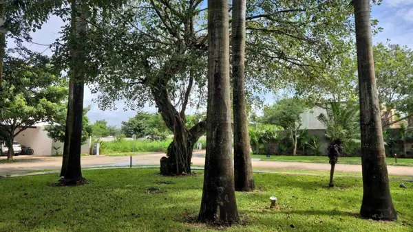 Terreno en venta en Conkal, Conkal — foto 3 de 15