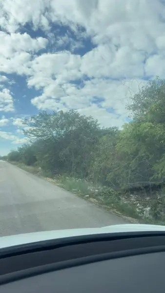 Terreno en venta en Dzitya, Mérida — foto 2 de 4