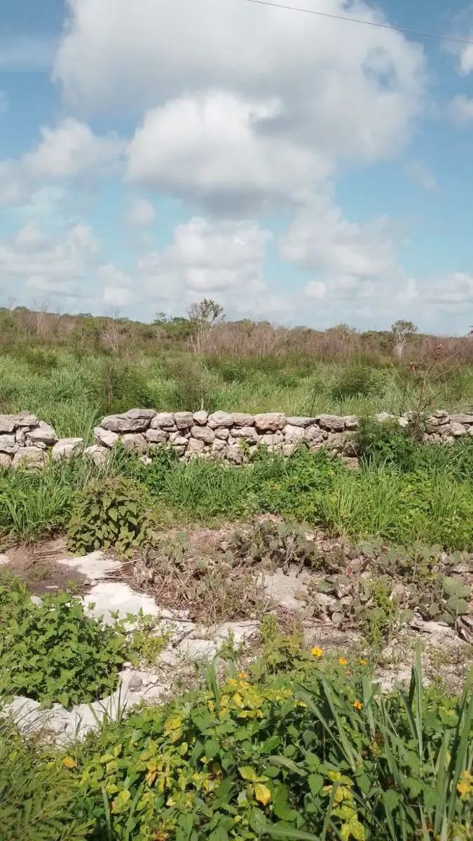 Terreno en venta en Chicxulub, Chicxulub Pueblo — foto 1 de 6