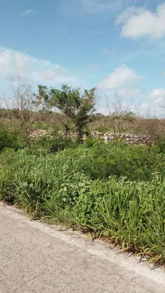 Terreno en venta en Chicxulub, Chicxulub Pueblo — foto 2 de 6