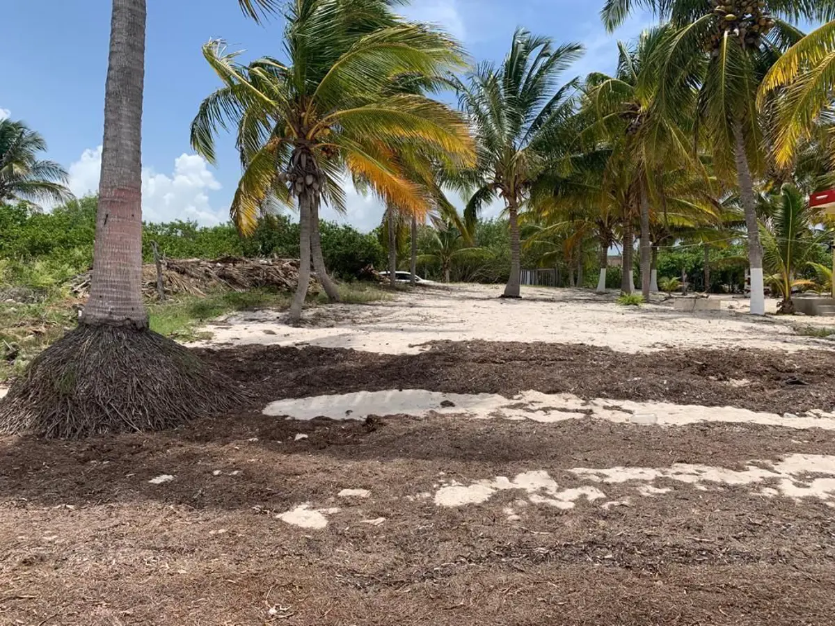 Terreno en venta en Santa Clara, Dzidzantún — foto 1 de 7