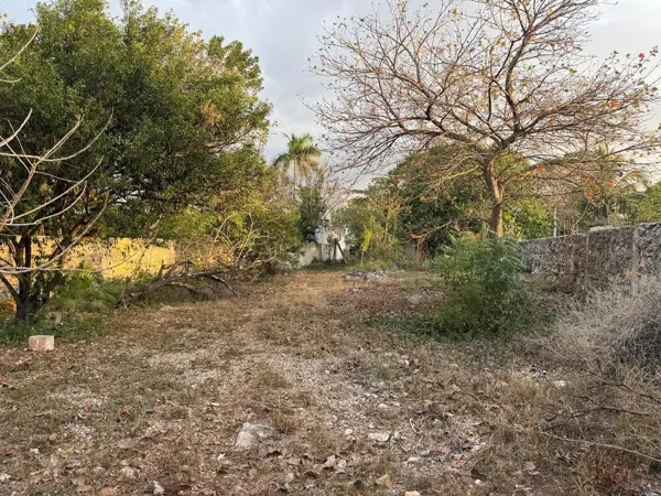 Terreno en venta en Sitpach, Mérida — foto 3 de 12