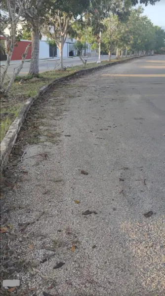 Terreno en venta en Cholul, Mérida — foto 2 de 5