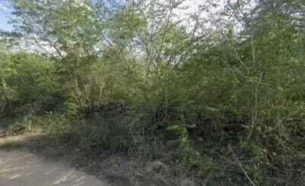 Terreno en venta en Xcunya, Mérida — foto 3 de 5